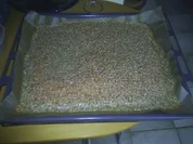 Gebäck - Sahneblechkuchen mit Haselnussguss - Rezept