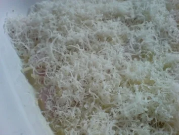 Spargel-Gratin - Rezept