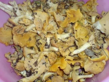 Jägerschnitzel - Rezept - Bild Nr. 4