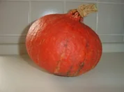 Hokkaido - Suppe - Rezept