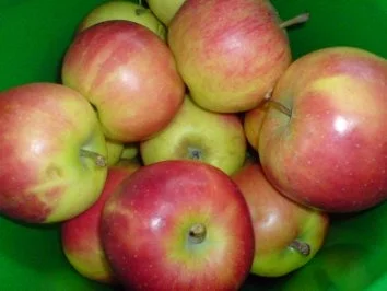 Bratapfelkuchen - Rezept - Bild Nr. 8