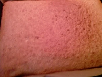 Rezept: Lebkuchen ( Schüttellebkuchen ) Lebkuchen ( Schüttellebkuchen ) - Rezept