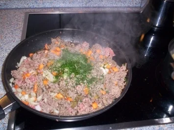 Meine Lasagne al forno - Rezept