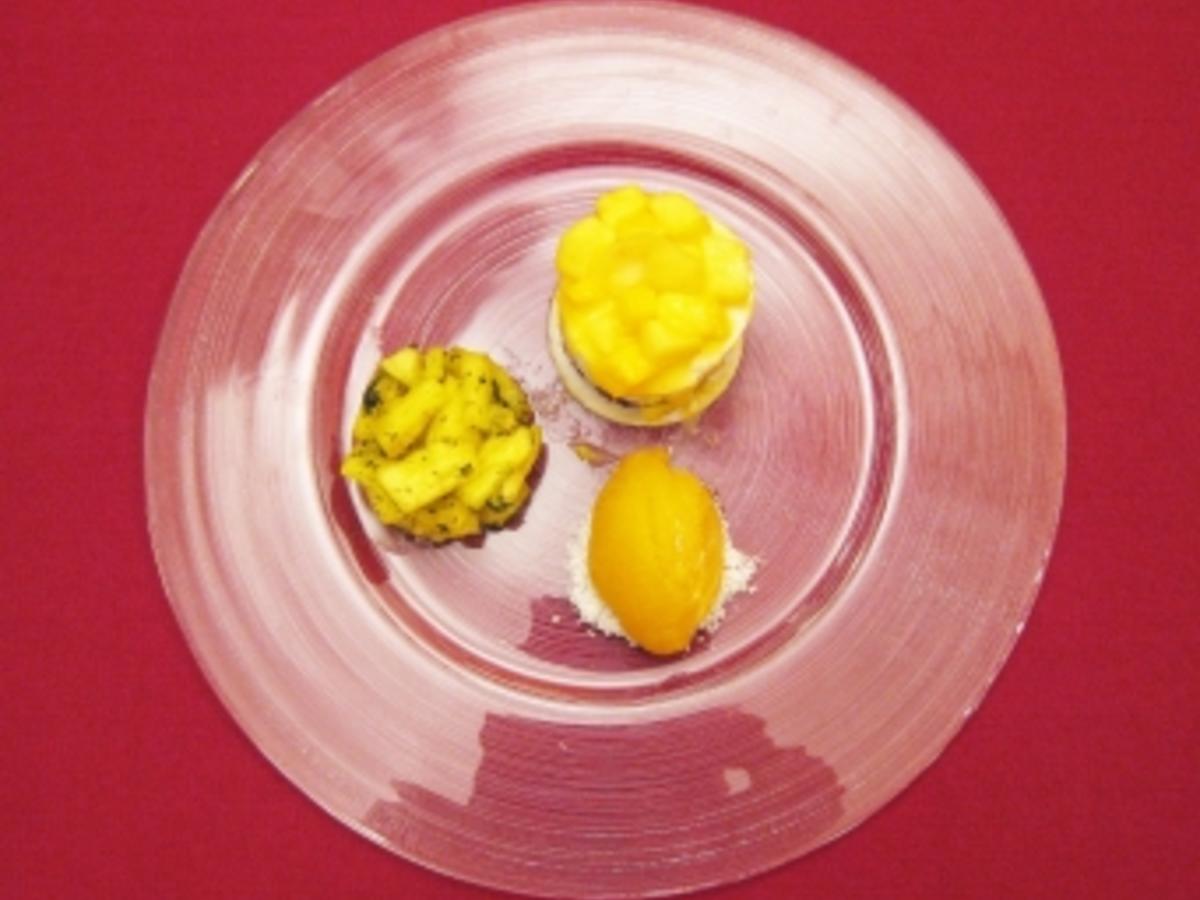 Kokos Törtchen mit Mango Salsa und Minz Ananas Salsa - von Das perfekte ...