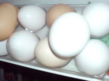 Eiersalat und Lammpaste - Rezept - Bild Nr. 2