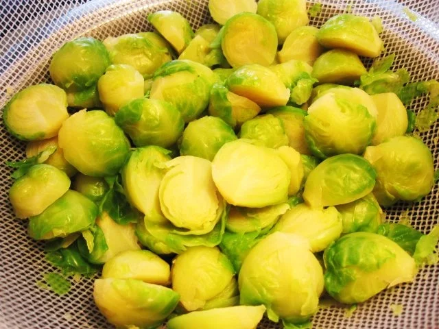 Rezept: Nudeln in Rosenkohl - Sahnesoße Bild Nr. 3 Nudeln in Rosenkohl - Sahnesoße - Rezept - Bild Nr. 3