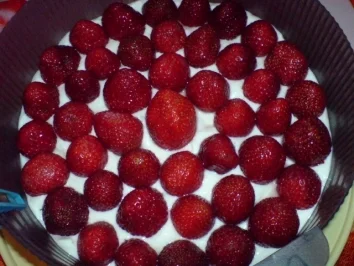 Rezept: Winterliche Erdbeertorte Bild Nr. 8 Winterliche Erdbeertorte - Rezept - Bild Nr. 8