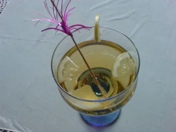 Bierbowle - Rezept - Bild Nr. 3