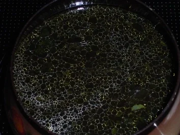 Rezept: Fondue Chinoise Dida ' s Art Bild Nr. 3 Fondue Chinoise Dida ' s Art - Rezept - Bild Nr. 3