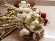 Antipasto aglio - Rezept