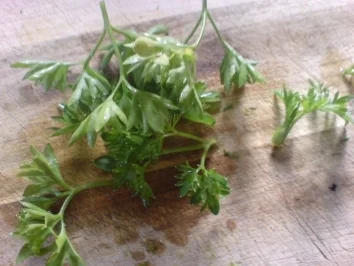 Rezept: Zum Dippen und für's Brot 1 Bild Nr. 14 Zum Dippen und für's Brot 1 - Rezept - Bild Nr. 14