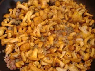 Gratin von frischen Pfifferlingen - Rezept - Bild Nr. 2