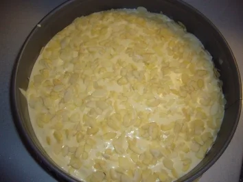 Rezept: Kikis Biskuit-Bienenstich "light" Bild Nr. 3 Kikis Biskuit-Bienenstich "light" - Rezept - Bild Nr. 3