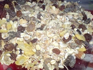 Müsli - Kuchen - Rezept - Bild Nr. 7