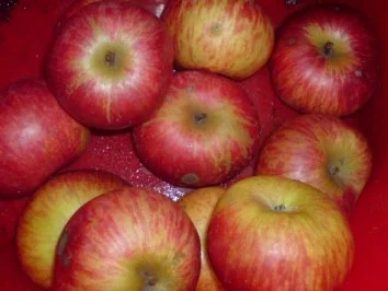 Rezept: Apfel im Schnee Bild Nr. 3 Apfel im Schnee - Rezept - Bild Nr. 3