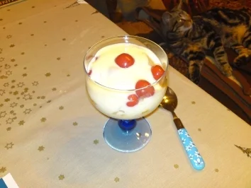 Schicht-Pudding-Dessert - Rezept