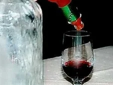 Tollwütiger Hund - Rezept