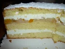 Fruchtcocktailtorte - Rezept