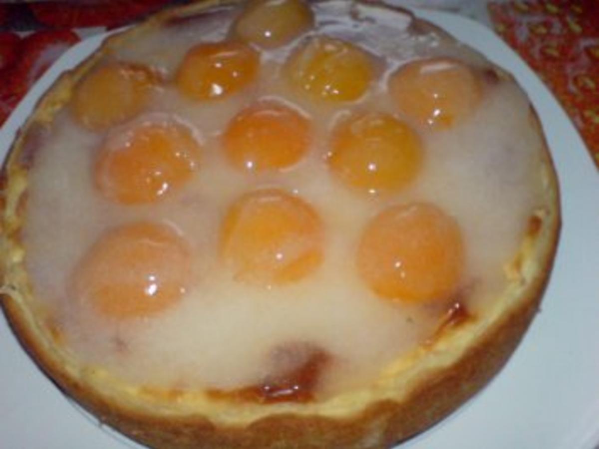 Gefüllte Aprikosen Torte - schnell - von loewe_bs