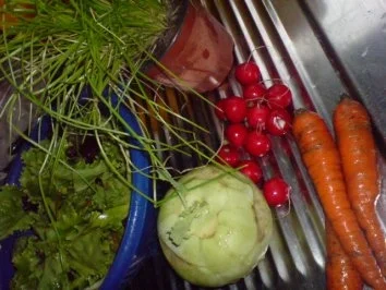 Bunter Rohkost-Teller - Rezept - Bild Nr. 3