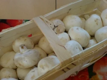 Rezept: Eingelegte Knoblauch-Champignons Bild Nr. 2 Eingelegte Knoblauch-Champignons - Rezept - Bild Nr. 2