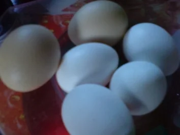 Rezept: Sandkuchen mit Mandarinen Bild Nr. 8 Sandkuchen mit Mandarinen - Rezept - Bild Nr. 8