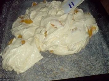 Rezept: Sandkuchen mit Mandarinen Bild Nr. 22 Sandkuchen mit Mandarinen - Rezept - Bild Nr. 22