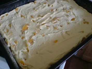 Rezept: Sandkuchen mit Mandarinen Bild Nr. 23 Sandkuchen mit Mandarinen - Rezept - Bild Nr. 23