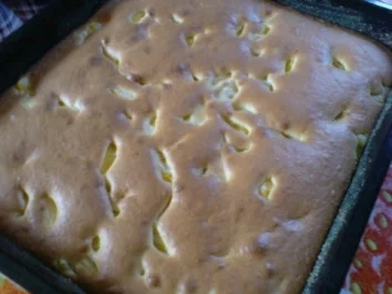 Rezept: Sandkuchen mit Mandarinen Bild Nr. 24 Sandkuchen mit Mandarinen - Rezept - Bild Nr. 24