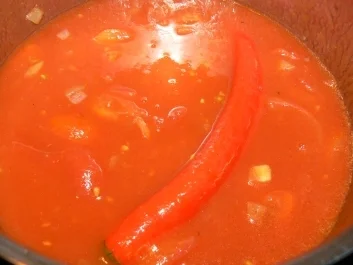 Mein Schaschlik - wie ich es mag tomatig und pikant - Rezept