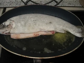 Rezept: Lachsforelle auf grünem Salat Lachsforelle auf grünem Salat - Rezept