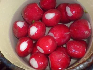 Rezept: Bunter Salat mit Ei Bild Nr. 5 Bunter Salat mit Ei - Rezept - Bild Nr. 5