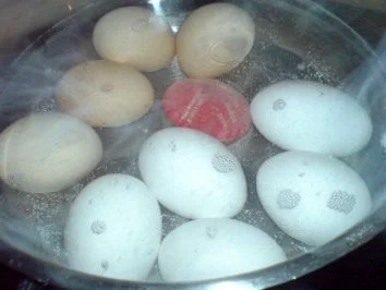 Eier-Schwarzwurzel-Ragout - Rezept - Bild Nr. 5