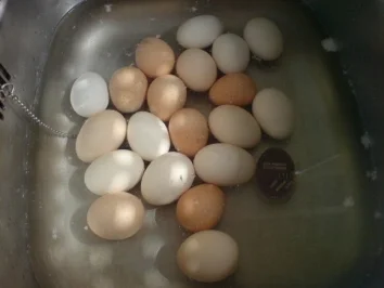 Sol-Eier im Würzsud - Rezept - Bild Nr. 9