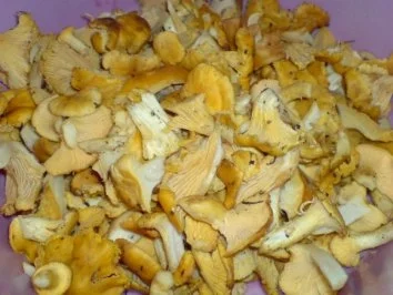 Rezept: Pilze mit Ei Bild Nr. 8 Pilze mit Ei - Rezept - Bild Nr. 8