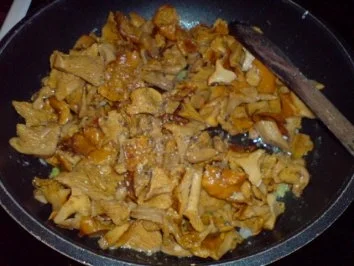 Rezept: Pilze mit Ei Bild Nr. 11 Pilze mit Ei - Rezept - Bild Nr. 11