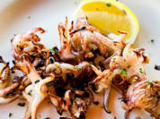 Gegrillte Tintenfische mit Knoblauch - Rezept - Bild Nr. 2