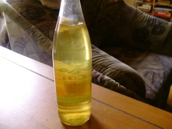 Holunderblütensaft - Rezept - Bild Nr. 3
