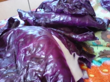 Rotkohlrouladen - Rezept - Bild Nr. 13