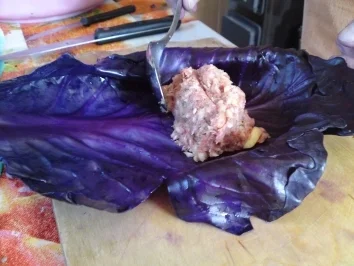 Rotkohlrouladen - Rezept - Bild Nr. 14