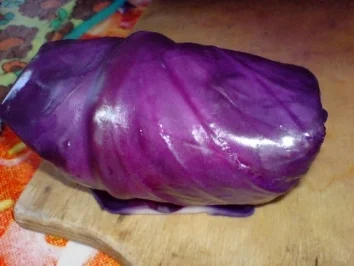 Rotkohlrouladen - Rezept - Bild Nr. 16