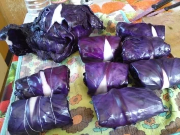 Rotkohlrouladen - Rezept - Bild Nr. 19