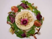 Rezept: Creme brulee au parmesan auf Raukesalat Creme brulee au parmesan auf Raukesalat - Rezept