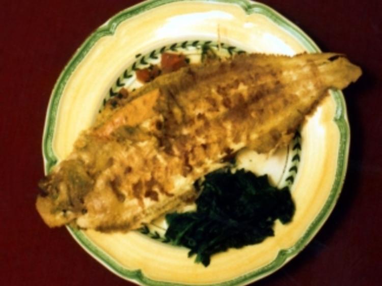 Seezunge Rezepte