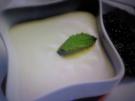 Vanille-Sekt Creme - Rezept