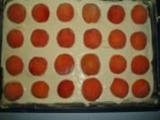 Marillenkuchen - Rezept