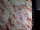 Deftiger Sauerkraut-Auflauf - Rezept