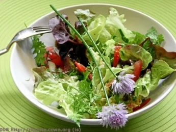 Rezept: Bunter Salat Bunter Salat - Rezept