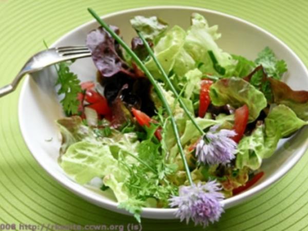 Bunter Salat - Rezept mit Bild - kochbar.de