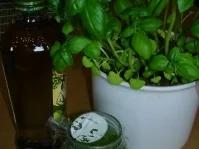 Spaghetti mit Pesto - Rezept - Bild Nr. 2